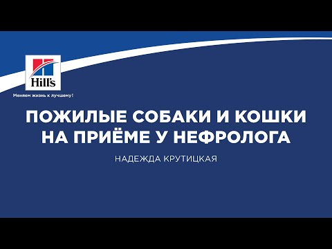 Вебинар на тему: “Пожилые собаки и кошки на приеме у нефролога”. Лектор - Надежда Крутицкая.