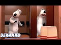 Bernard Bear - The Elevator  -  Super Toons TV - Best Cartoons