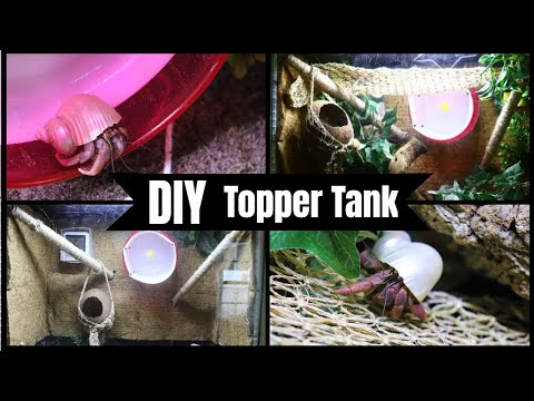 DIY Topper Tank (20 gallon second level)!!!