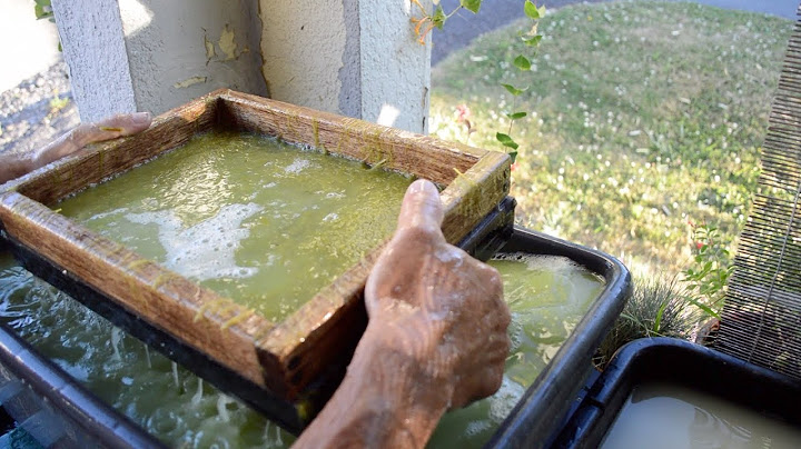 Making Paper From Plants : Beach Grass :: Paper You Can Print On