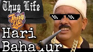 Hari bahadur thug life| funny momet of Hari bahadur | Legend is always Legend