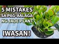 5 MISTAKES SA PAG-AALAGA NG JADE PLANT | Lucky Plant Care Tips