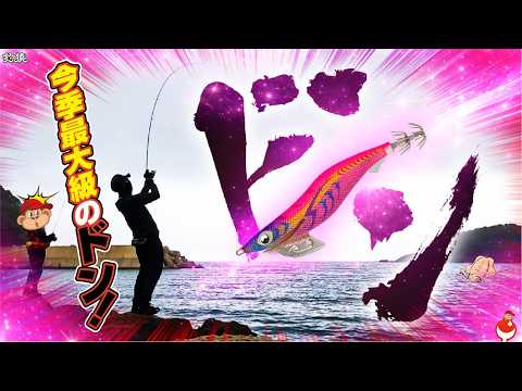 【エギング】今季最大級“ドン”炸裂!!秋冬アオリイカ釣行