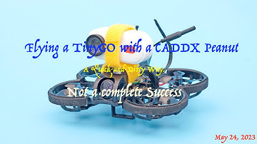 Flying a GepRC  TinyGO with a CADDX Peanut