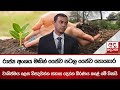 රාජ්‍ය|sin