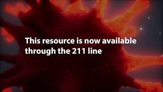 Sexual Assault and Domestic Violence Hotline