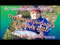 Бешенный клев чехони. Селитренное. Май 2021.