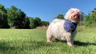 Pete at the park.