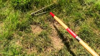 How to Overseed Your Lawn with Scotts Turf Builder