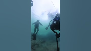 Dive into unreal views with new Insta 360 X5 #shorts #insta360