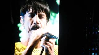 Red Hot Chili Peppers - Snow Hey Oh Live In Tokyo, Japan 2023