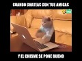 Cuando chateas con tu amiga y el chisme esta bueno