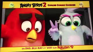 Angry birds 2 copains comme cocons en VOD et achat dugital sur mytf1vod VF pubtélé