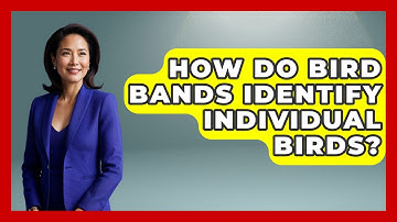 How Do Bird Bands Identify Individual Birds? - Bird Watching Diaries