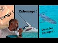 Tout a en seulement 24 heures  chouage orage requin tigre  outillage  bord 