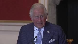 The Prince of Wales meets with global CEOs ahead of the G7 Summit