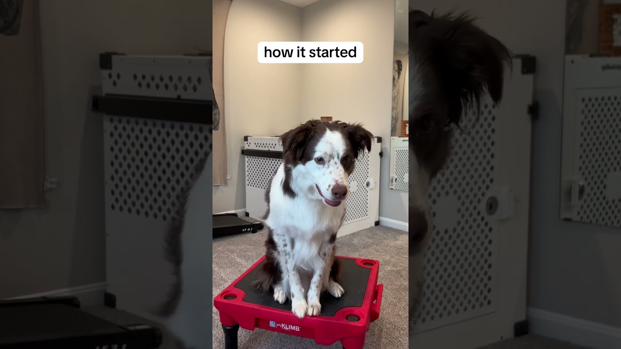 he’s an artist 👨‍🎨 