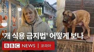 '개고기' 역사 속으로…한국 '개 식용 금지법' 통과 …