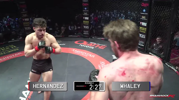 Shamrock FC: 342 Ralph Hernandez vs Clayton Whaley