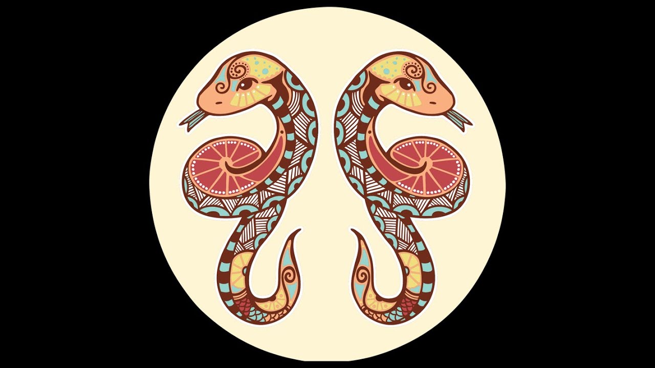 Змея близнецы совместимость. Близнецы и змея. Белая металлическая змея Близнецы. Картинка близнец змея.