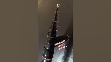 Thumbnail of Shimano Aspire 7 Reborn 2.0 fuji on board