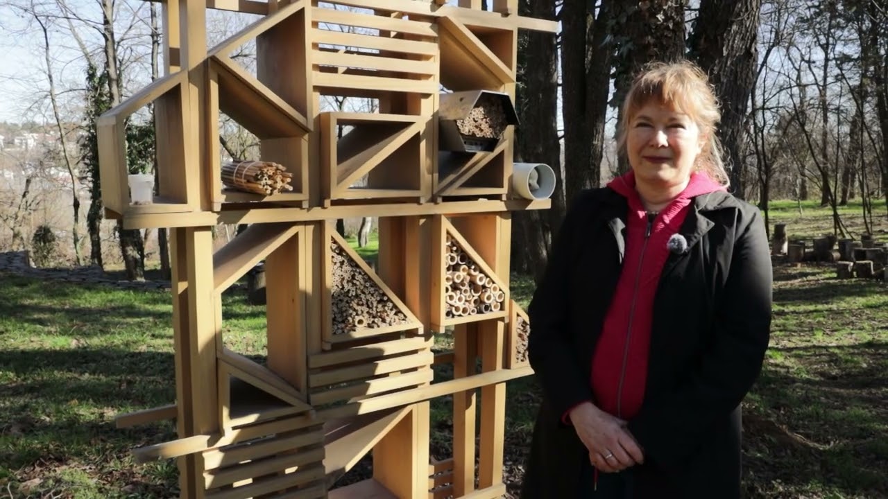 KAKO STRUKA KAŽE ep.42 21.02.2026. Mason pčele