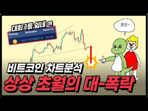   차트분석 비트코인 강력한 하방에 대한 근거 2024 02 01