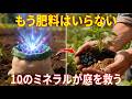 収穫量を3倍にする、忘れられた10のミネラル（土づくりの本当の秘密）