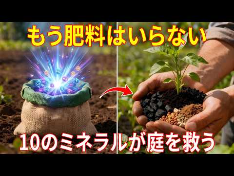 収穫量を3倍にする、忘れられた10のミネラル（土づくりの本当の秘密） - 忘れられた知恵