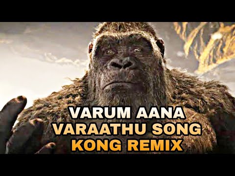 Varum Aana Varaathu Song Kong Version