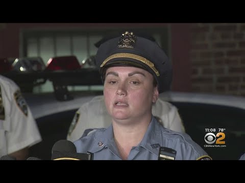 Video: Pet Scoop: NYPD sparar skadad pojke från motorväg, Cinderella Tiger Finds Love