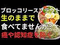 【医師も注目】ブロッコリースプラウトの正しい食べ方｜スルフォラファンを最大限引き出して健康寿命を伸ばす秘訣