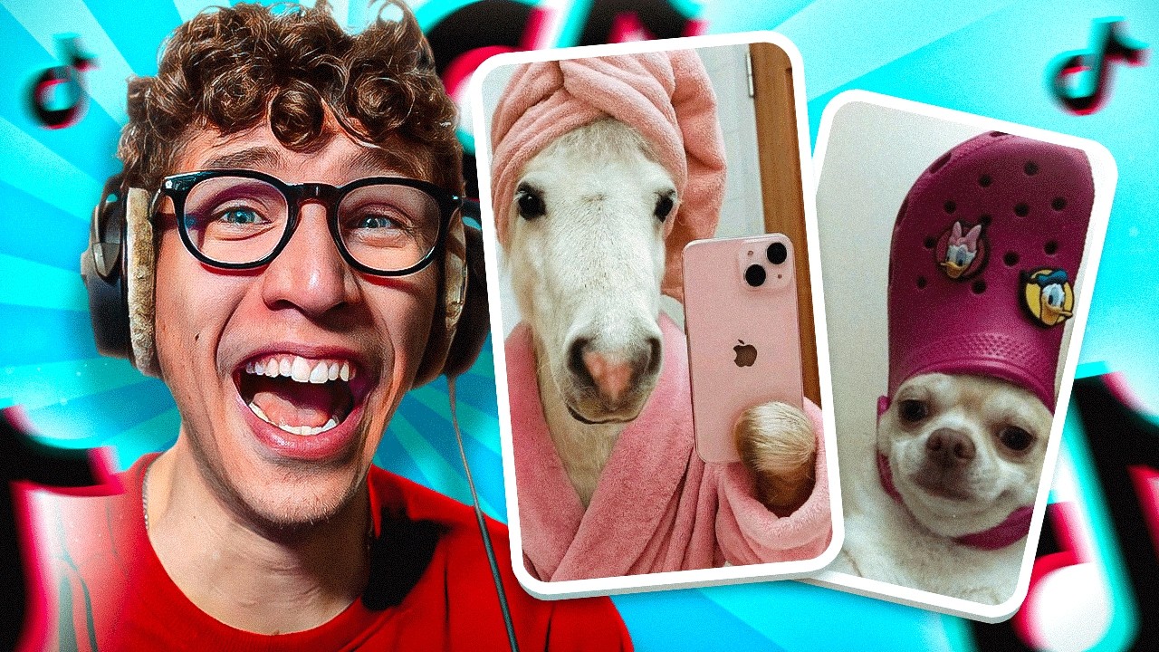 REAGISCO AI TIKTOK PIÙ DIVERTENTI SUGLI ANIMALI