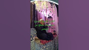 الشيخ ممدوح عبدالستار مقطع من الشمس #prismlivestudio #قران_كريم #الشيخ #الجميع #تلاوات #القارئ #تلاو