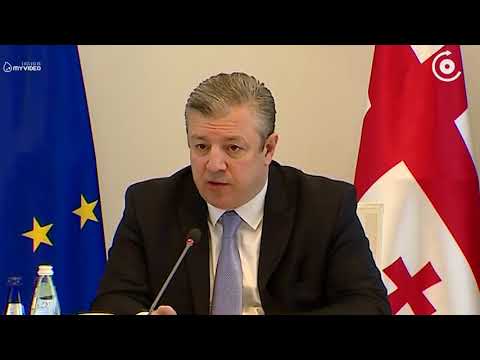 „680 მილიონ დოლარზე მეტია ინვესტიცია და რა ვქნათ, გავაჩეროთ ინვესტიცია, რადგან 5 ნევროზიანი პოლიტიკო