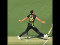His Shadow Poetry In Motion Mitchell Starc His Shadow Poetry In Motion Mitchell Starc