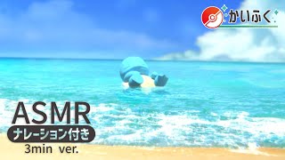 【公式】ASMR ゼニガメといっしょ -ナレーション付き 3min ver.-