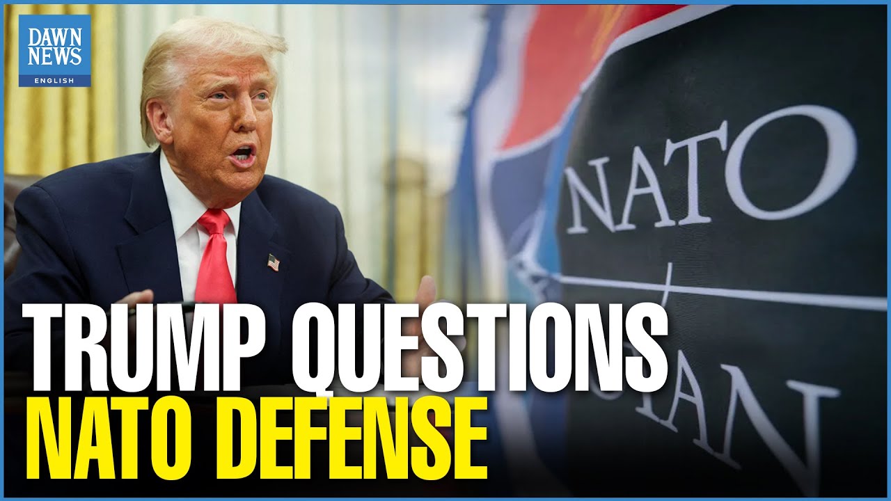NATO and the Question of Alliances