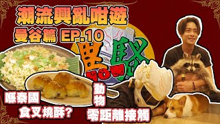 【四月抽獎】《潮流興亂咁遊-曼谷篇》EP 10｜Baan Somtum Sathorn 泰東北餐｜Little Zoo Cafe 親親小動物｜曼谷正斗 港式粥粉麵｜English Version by 異騷SHOW 15,177 views 1 month ago 13 minutes, 32 seconds