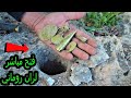 Treasures enclosed in big rocks-فتح ران روماني بجانب قبر صخري