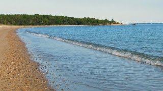 Relaxing Sounds: Bluff Point Beach Waves