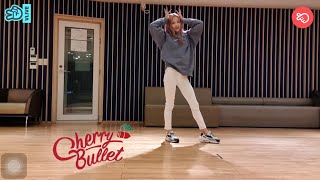 Remi (Cherry Bullet) Dancing to “ICY”