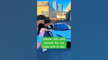 ANY AMOUNT YOU DONATE PLEASE LINK IN BIO #adoptstrays #fundraiser #adopt #adoptable #adoptableaucte