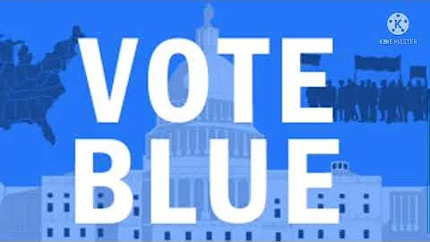 Vote Democratic down the ballot to save democracy!!!