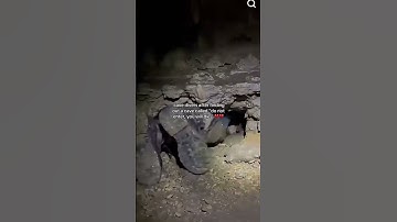 cave divers for no reason..  #cavedivers #funny #cave