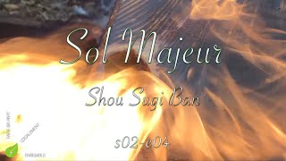 Sol Majeur - s02e04 - Shou Sugi Ban