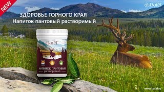 Видео Здоровье горного края. Напиток пантовый растворимый (автор: Batel)