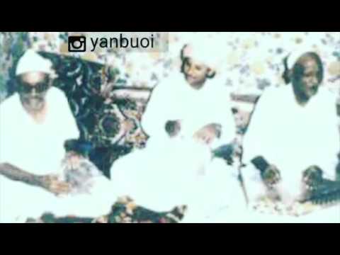 ينبعاوي دور جوز الحمام