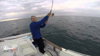 Pêche au leurre en mer Palavas Carnon