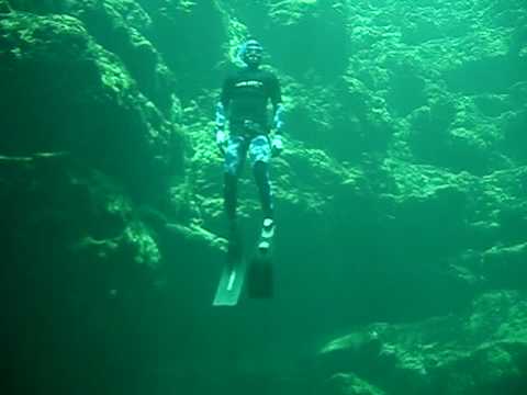 Troy Springs Freedive 2